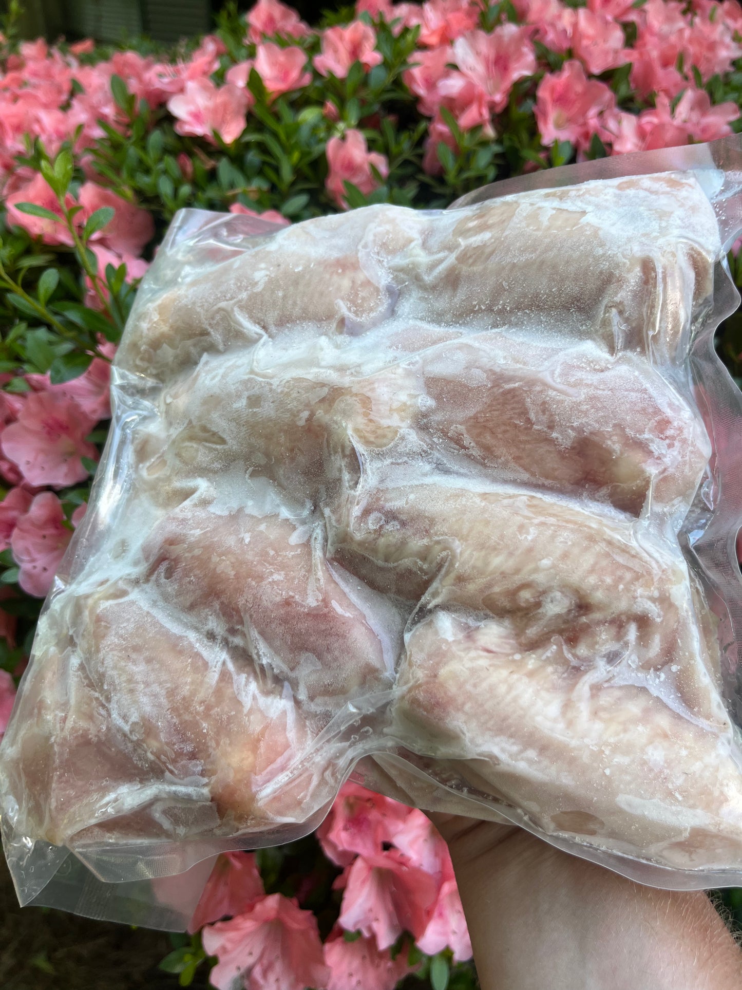 Pasture-Raised Chicken (Organic, Soy-Free)