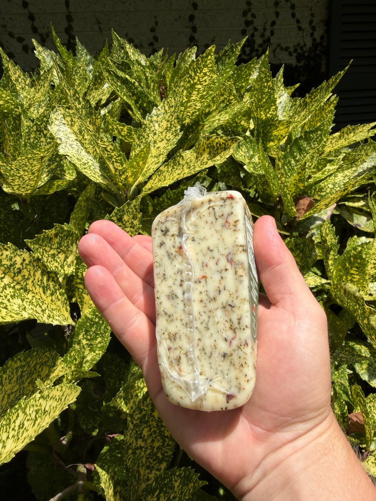 Georgia Raw Milk Cheeses
