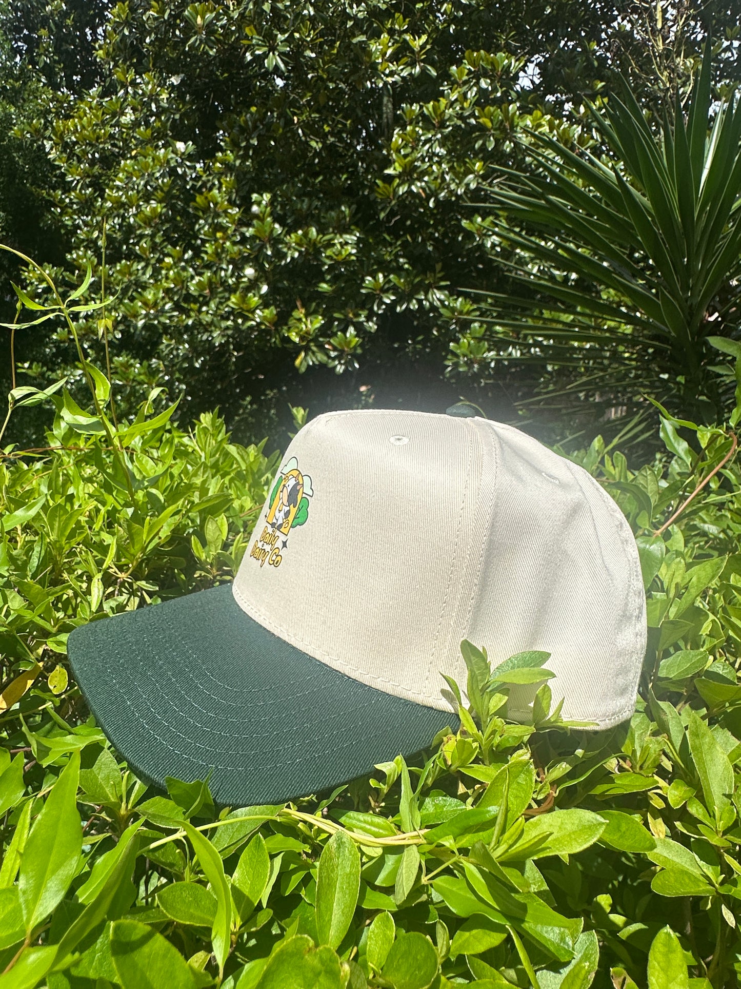 Daily Dairy Co Snapback