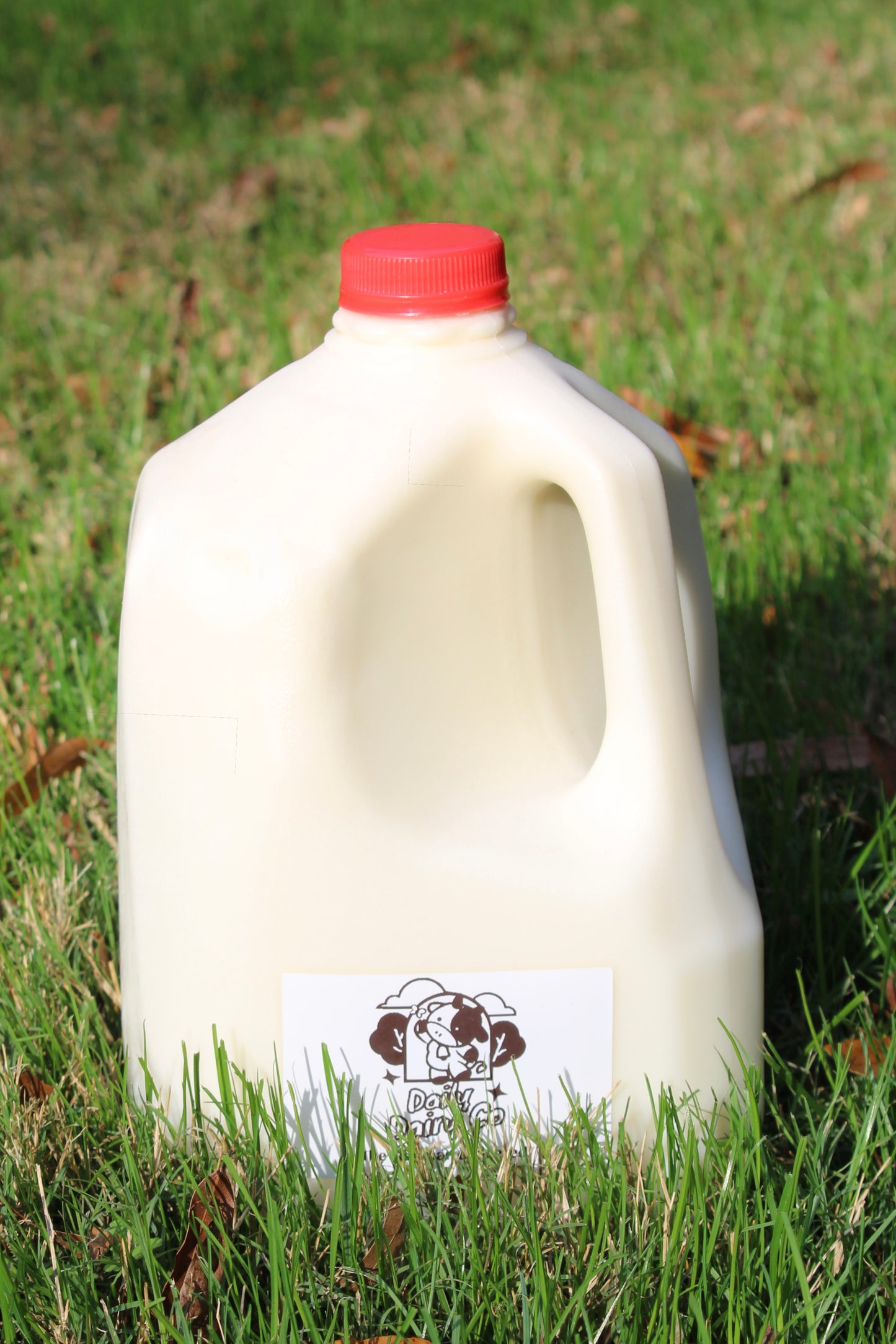 Raw Milk