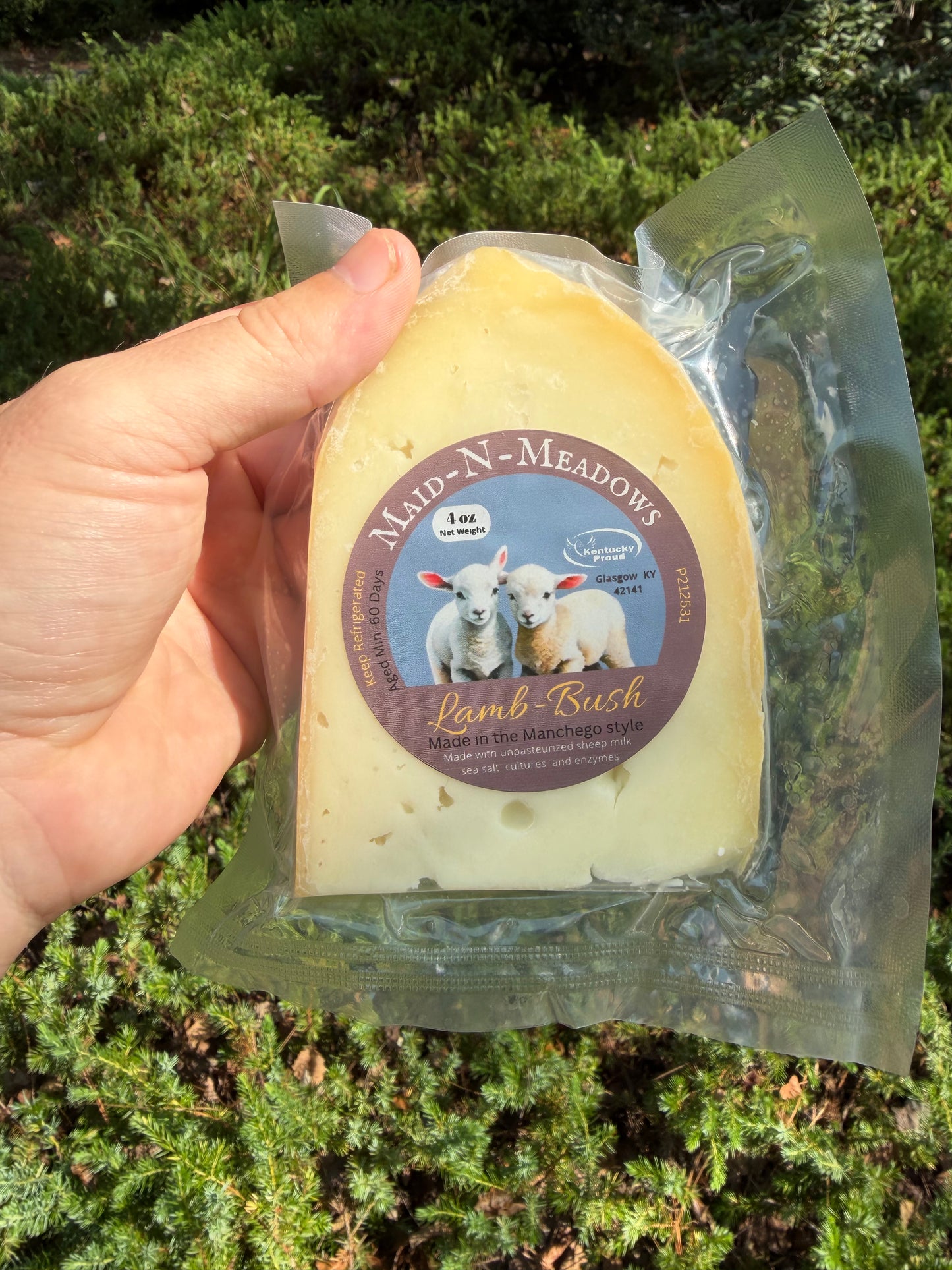Raw Milk Cheeses