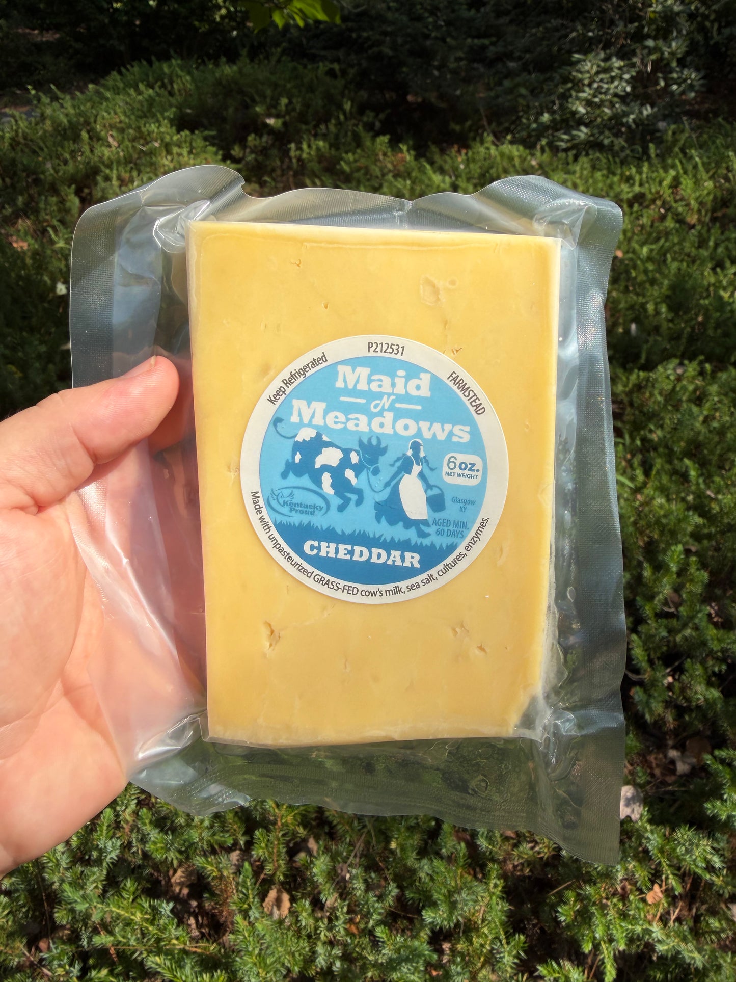Raw Milk Cheeses