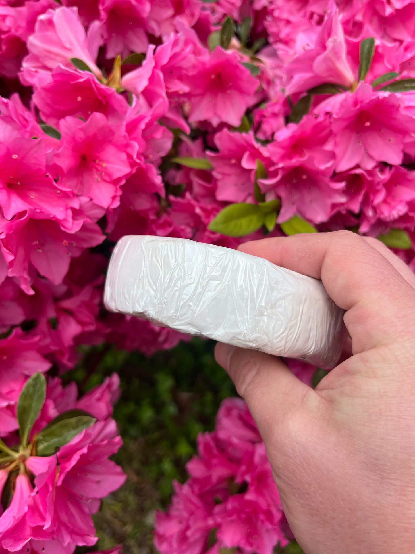 Georgia Raw Milk Cheeses