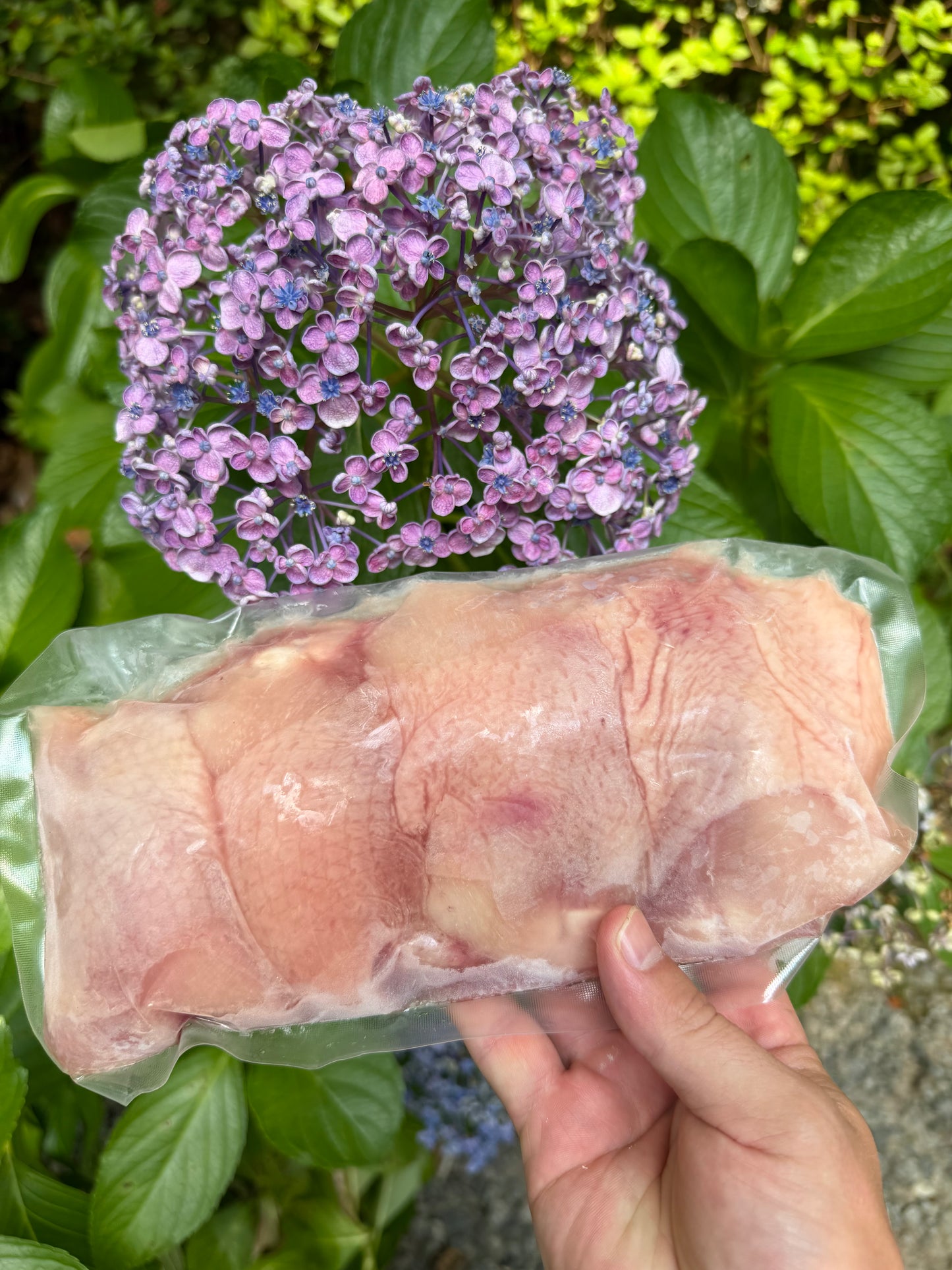 Pasture-Raised Chicken (Organic, Soy-Free)