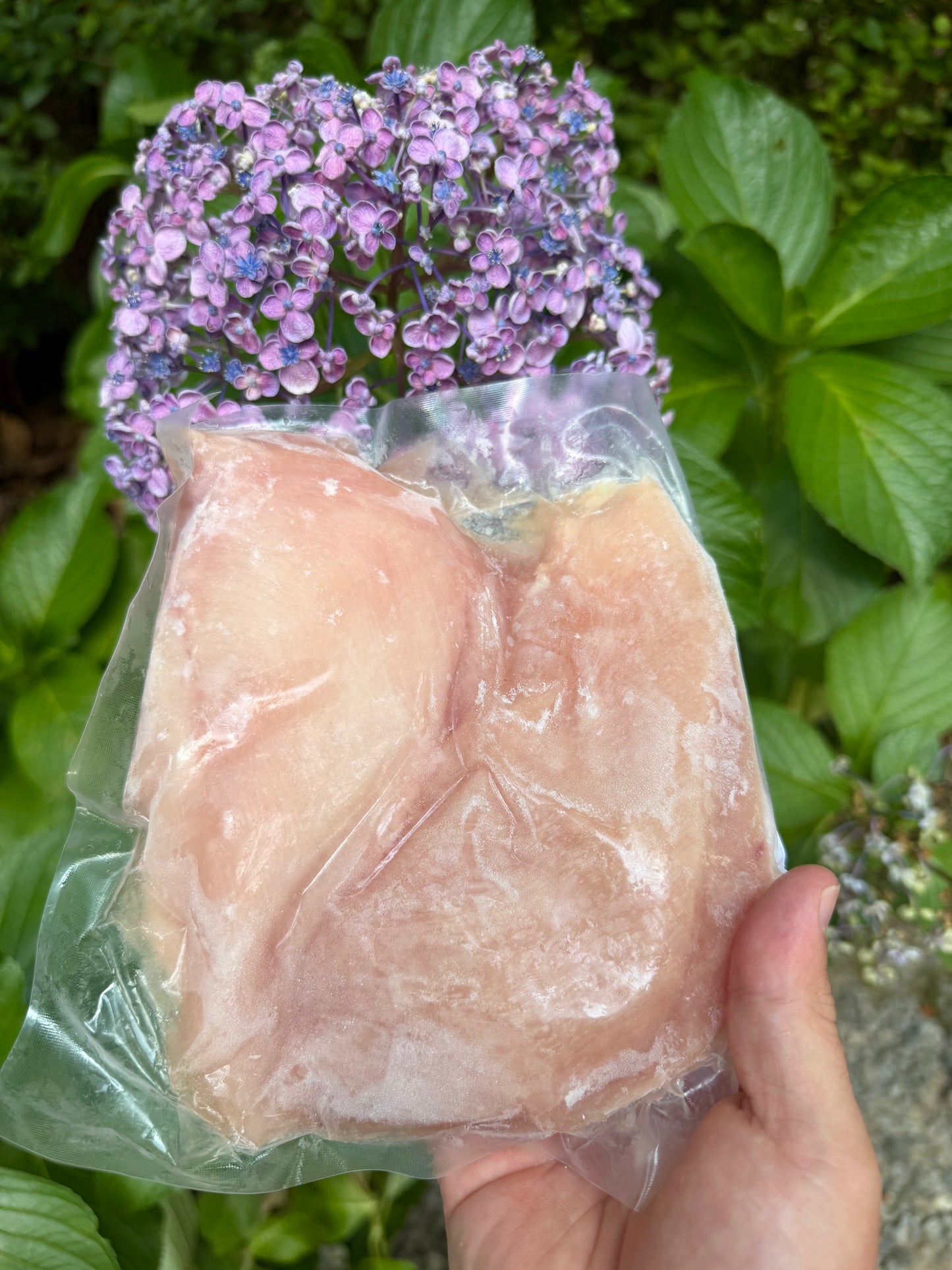 Pasture-Raised Chicken (Organic, Soy-Free)