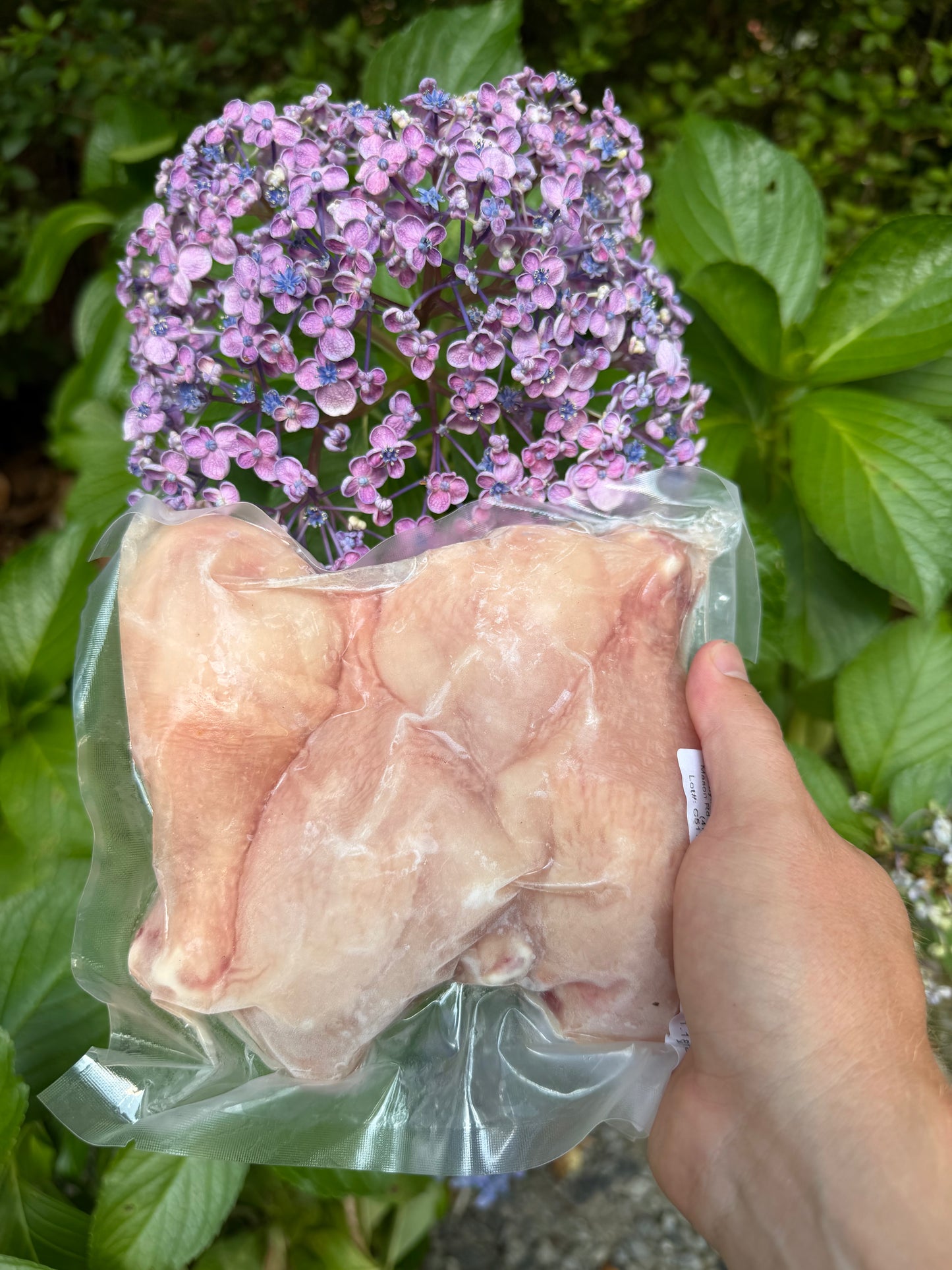 Pasture-Raised Chicken (Organic, Soy-Free)