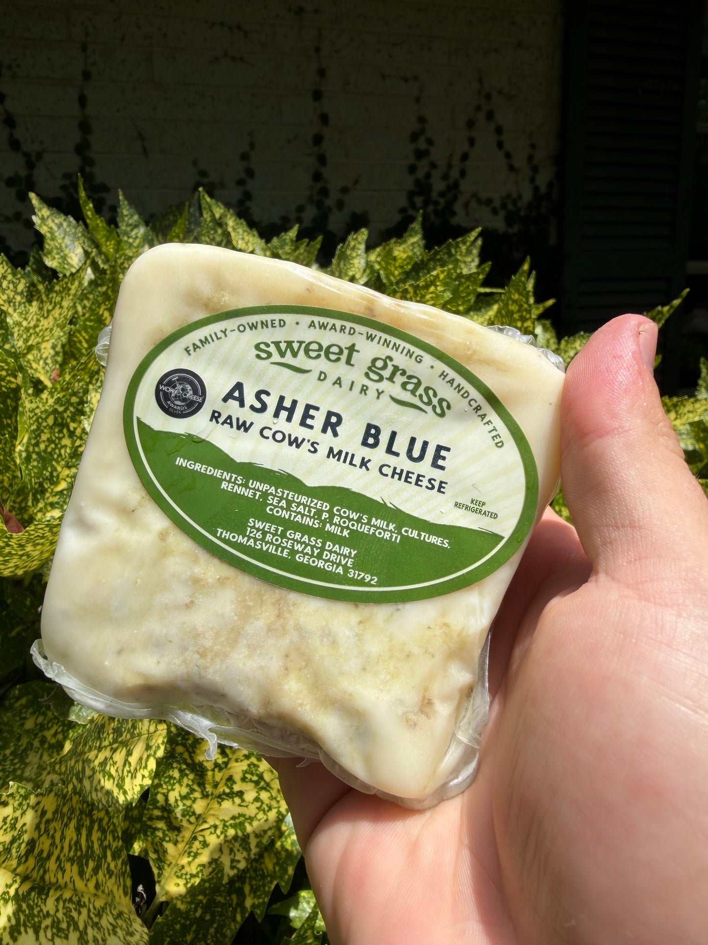 Georgia Raw Milk Cheeses