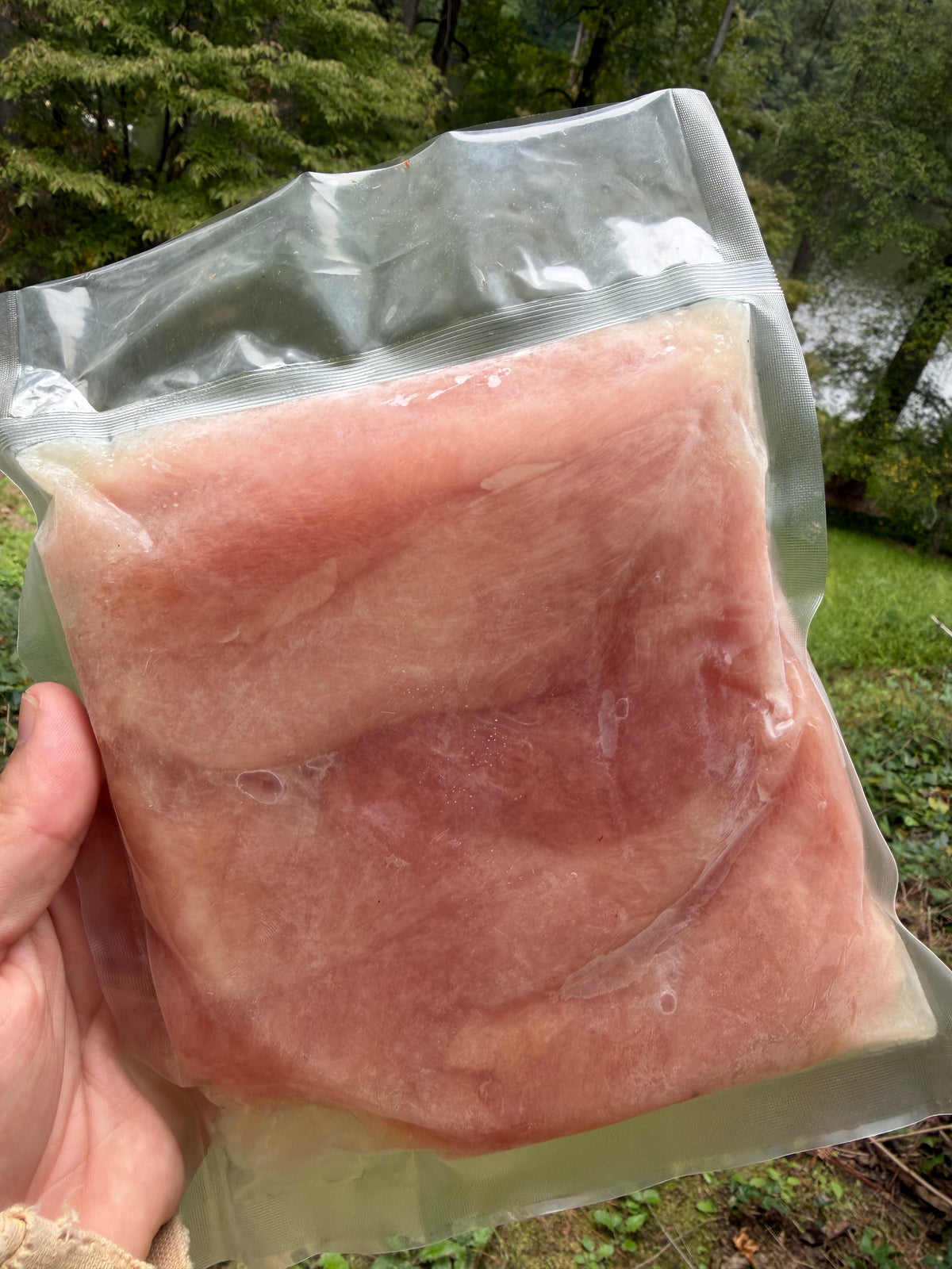 Pasture-Raised Chicken (Organic, Soy-Free)