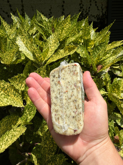 Georgia Raw Milk Cheeses