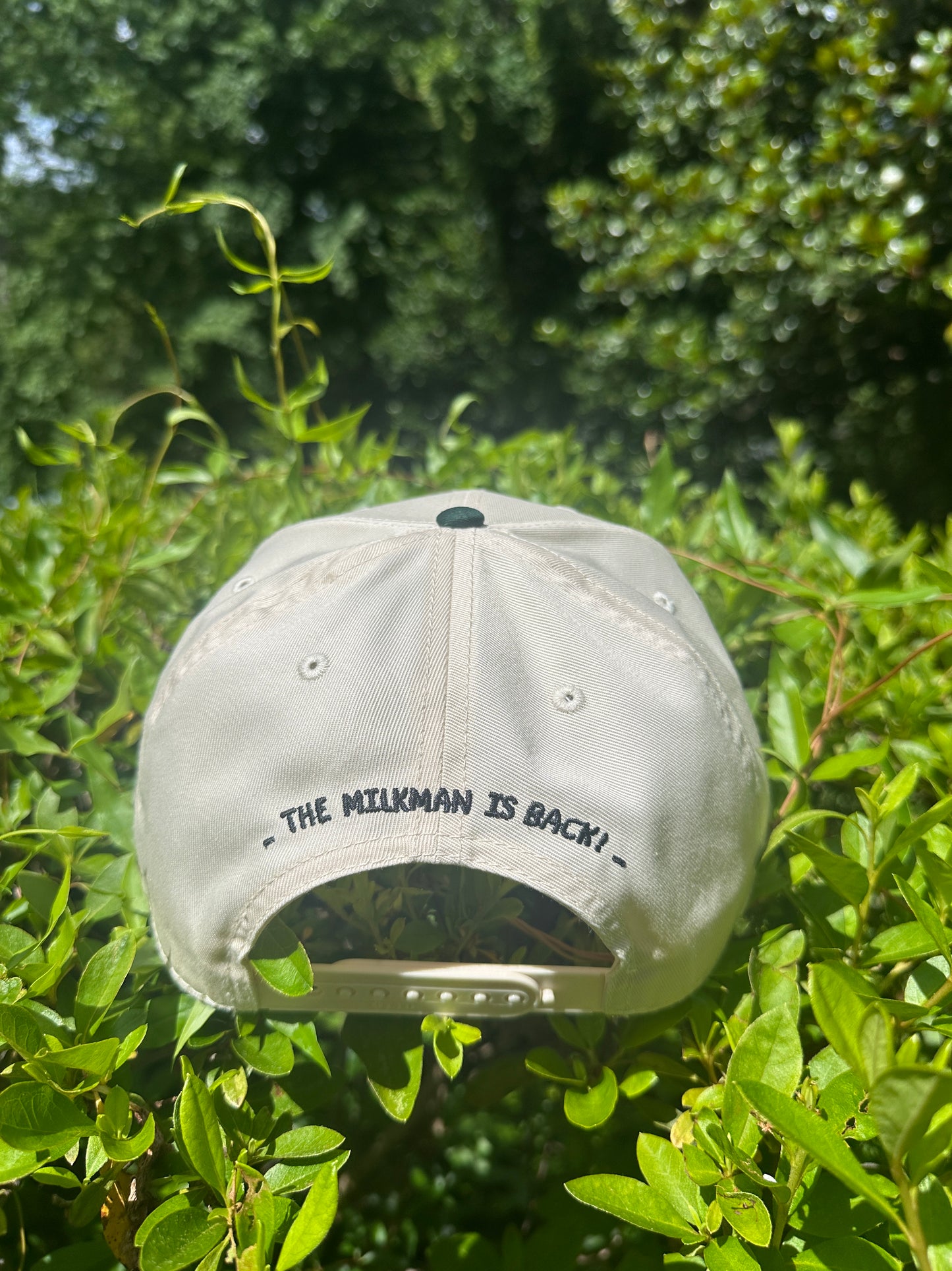 Daily Dairy Co Snapback