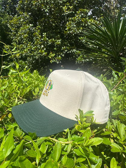 Daily Dairy Co Snapback